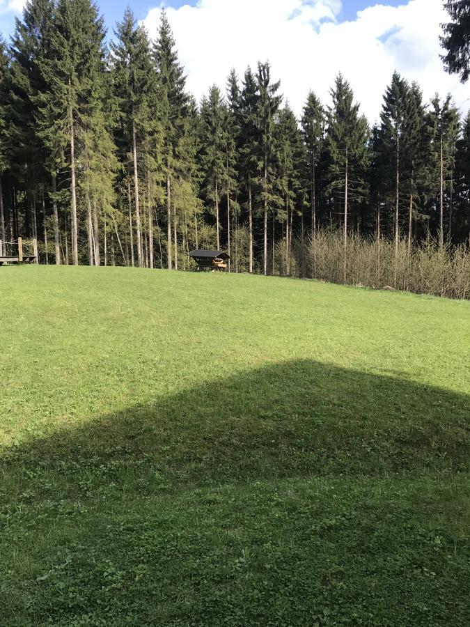 Chalet6Harrachov Se Saunou Zewnętrze zdjęcie