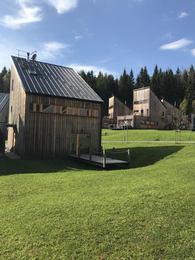Chalet6Harrachov Se Saunou Zewnętrze zdjęcie