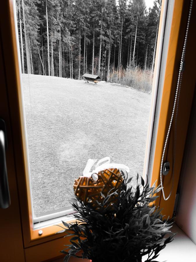 Chalet6Harrachov Se Saunou Zewnętrze zdjęcie