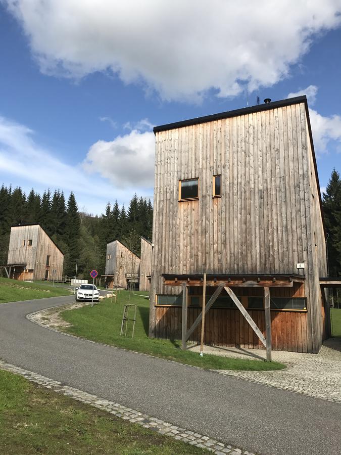 Chalet6Harrachov Se Saunou Zewnętrze zdjęcie