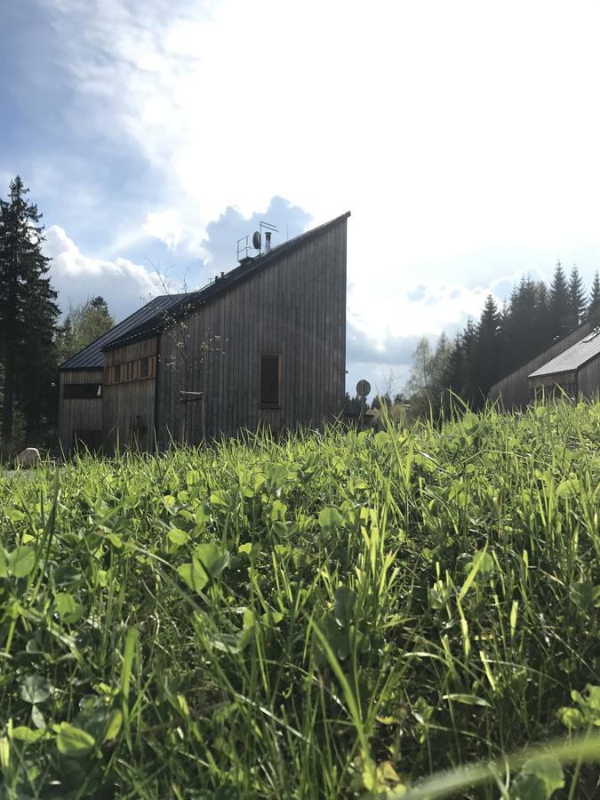 Chalet6Harrachov Se Saunou Zewnętrze zdjęcie