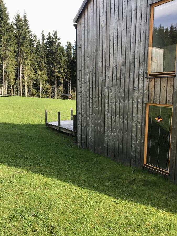 Chalet6Harrachov Se Saunou Zewnętrze zdjęcie